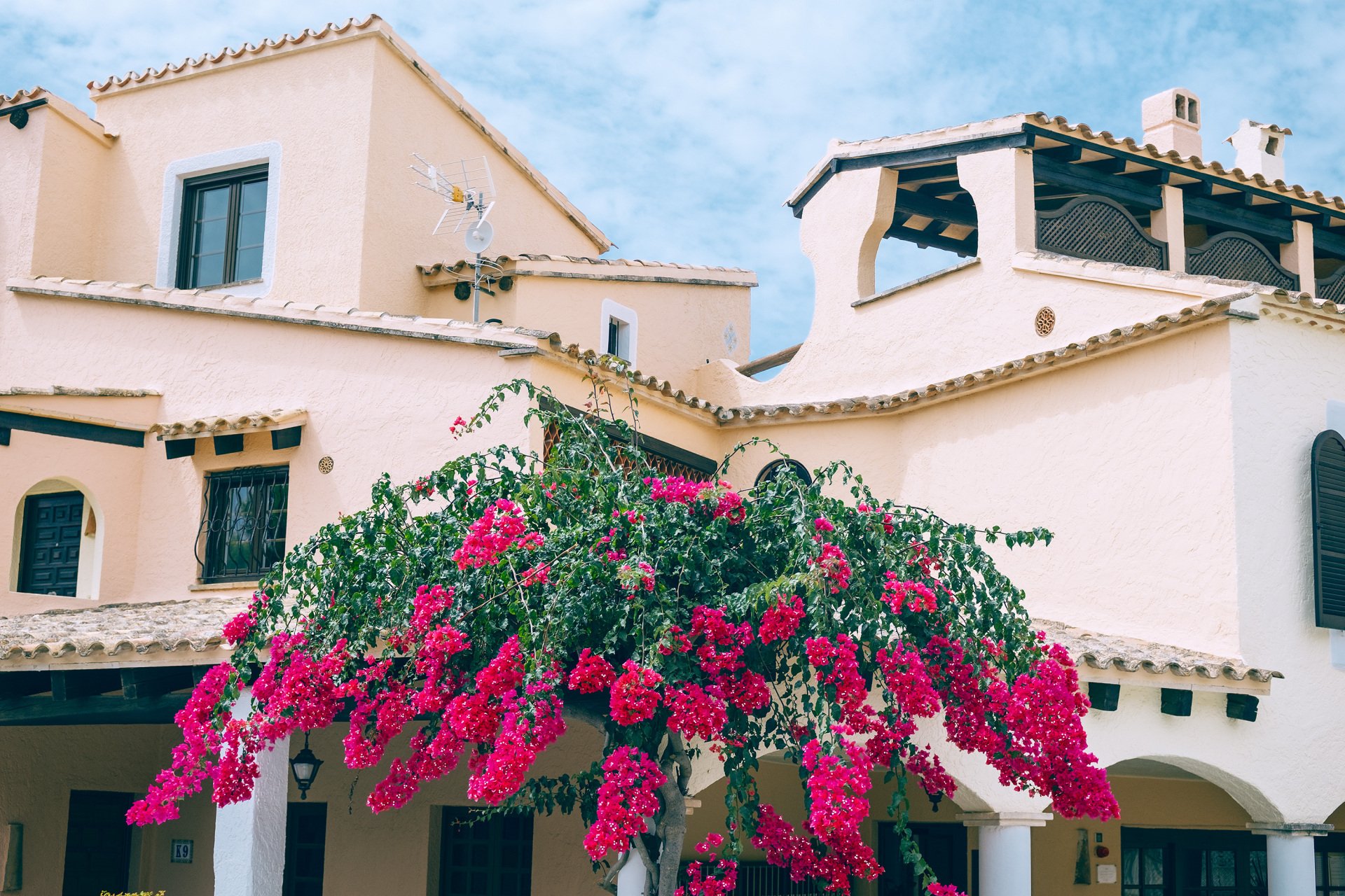 Edificio de fachadas claras con tejados de teja, ventanas, arcos y una terraza cubierta, frente a una planta de abundantes flores rosas.