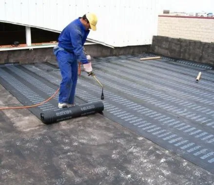 impermeabilizar con tela asfaltica en benavente, zamora