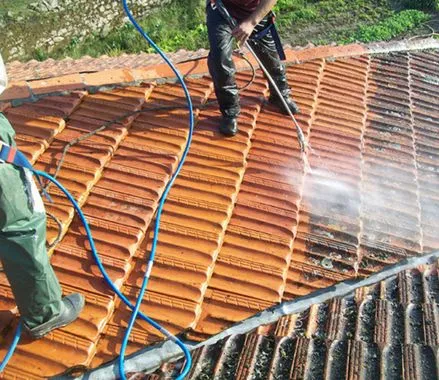 limpieza anual de tejados en la boveda de toro, zamora