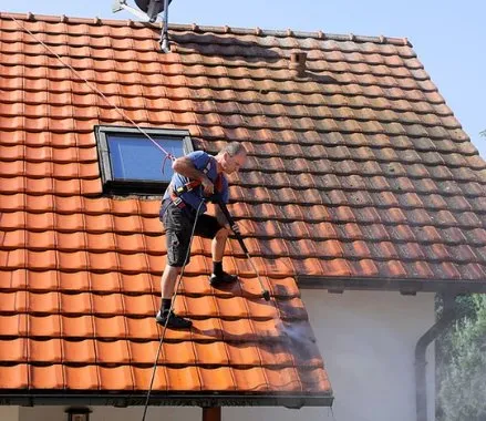 limpieza y mantenimiento de tejados y cubiertas en galende, zamora