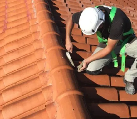reparacion de tejados con goteras en morales del vino, zamora